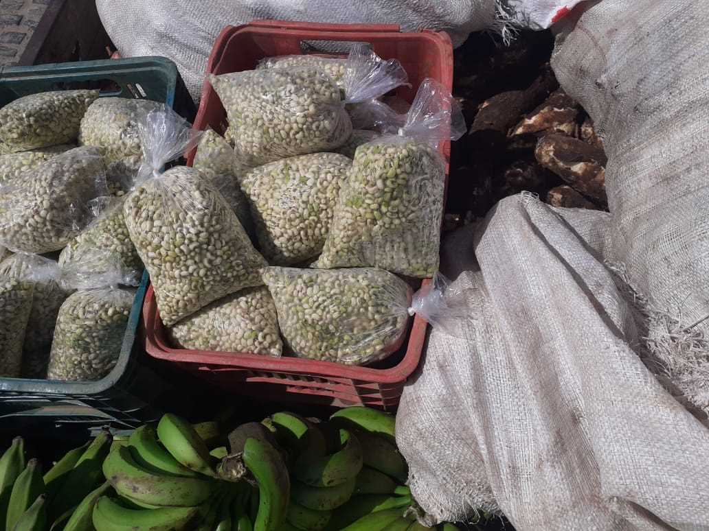 Camacã: Secretaria de Agricultura anuncia a chegada de água para 2 Assentamentos e faz entrega de alimentos para famílias